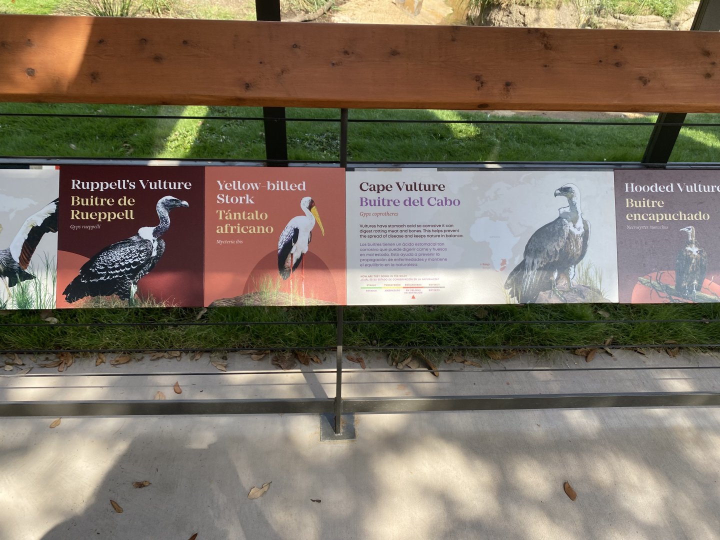 African Savanna Aviary Signage
