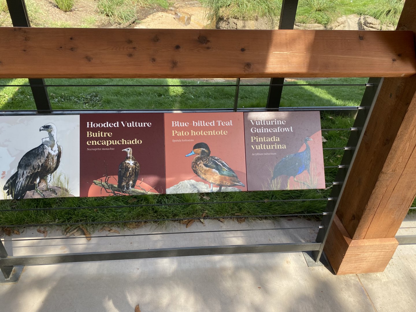 African Savanna Aviary Signage