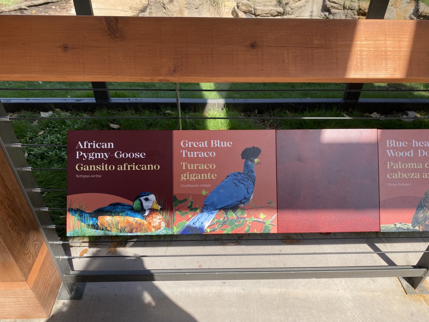 African Savanna Aviary Signage