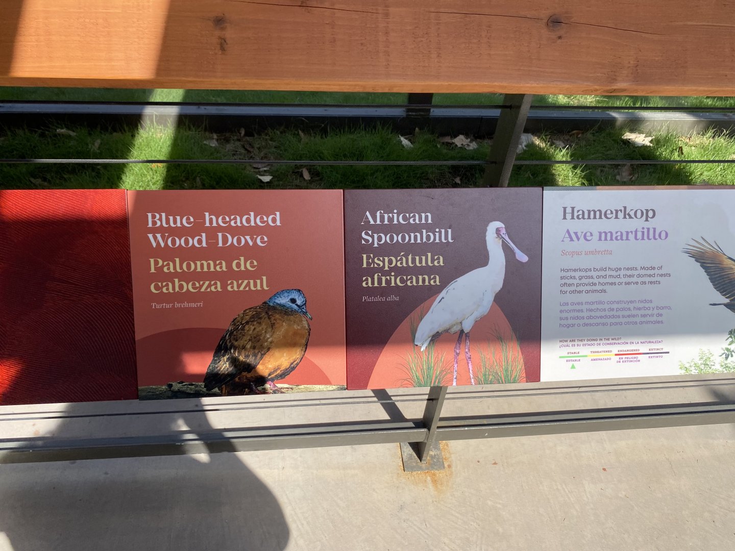 African Savanna Aviary Signage