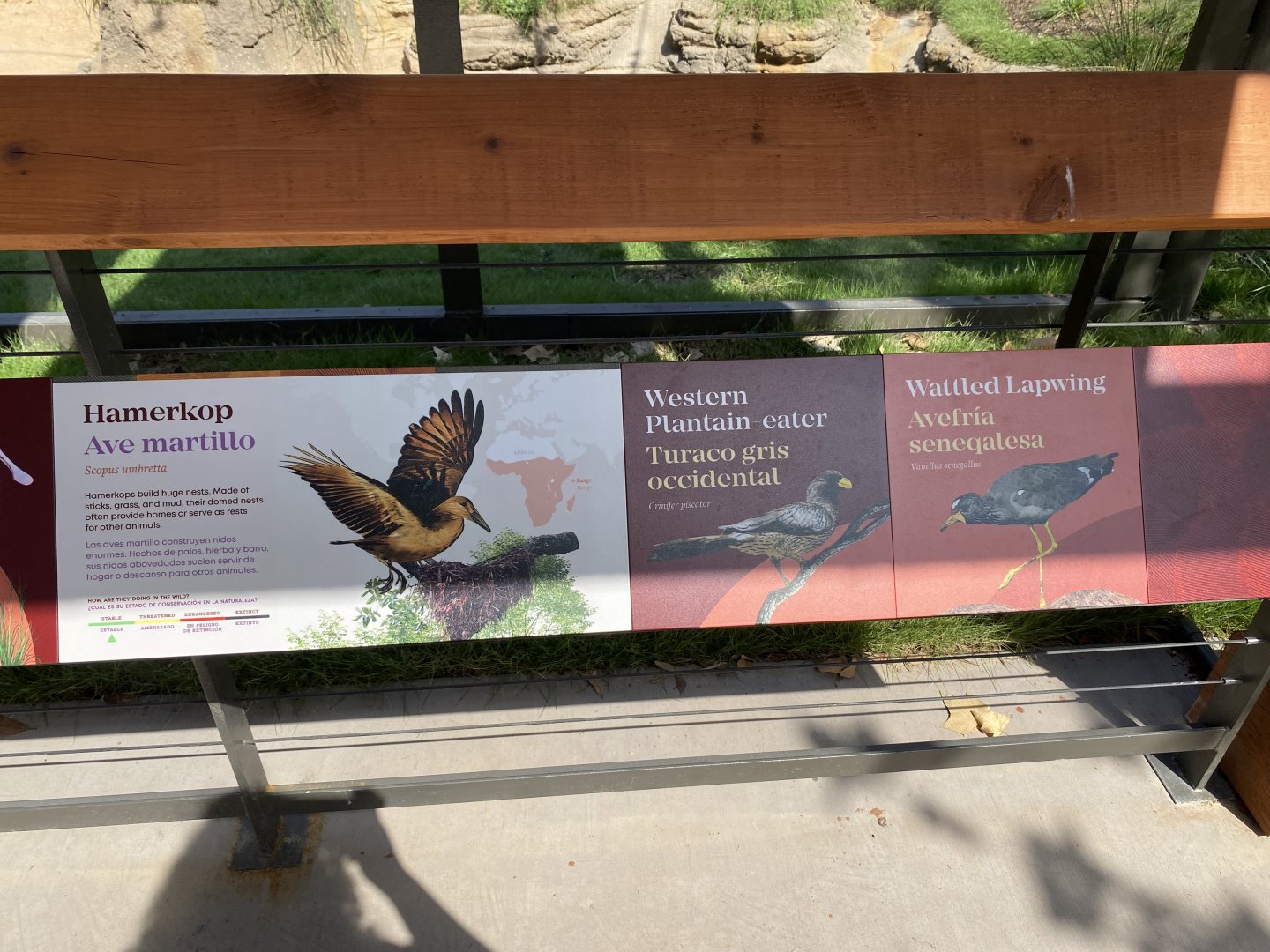 African Savanna Aviary Signage