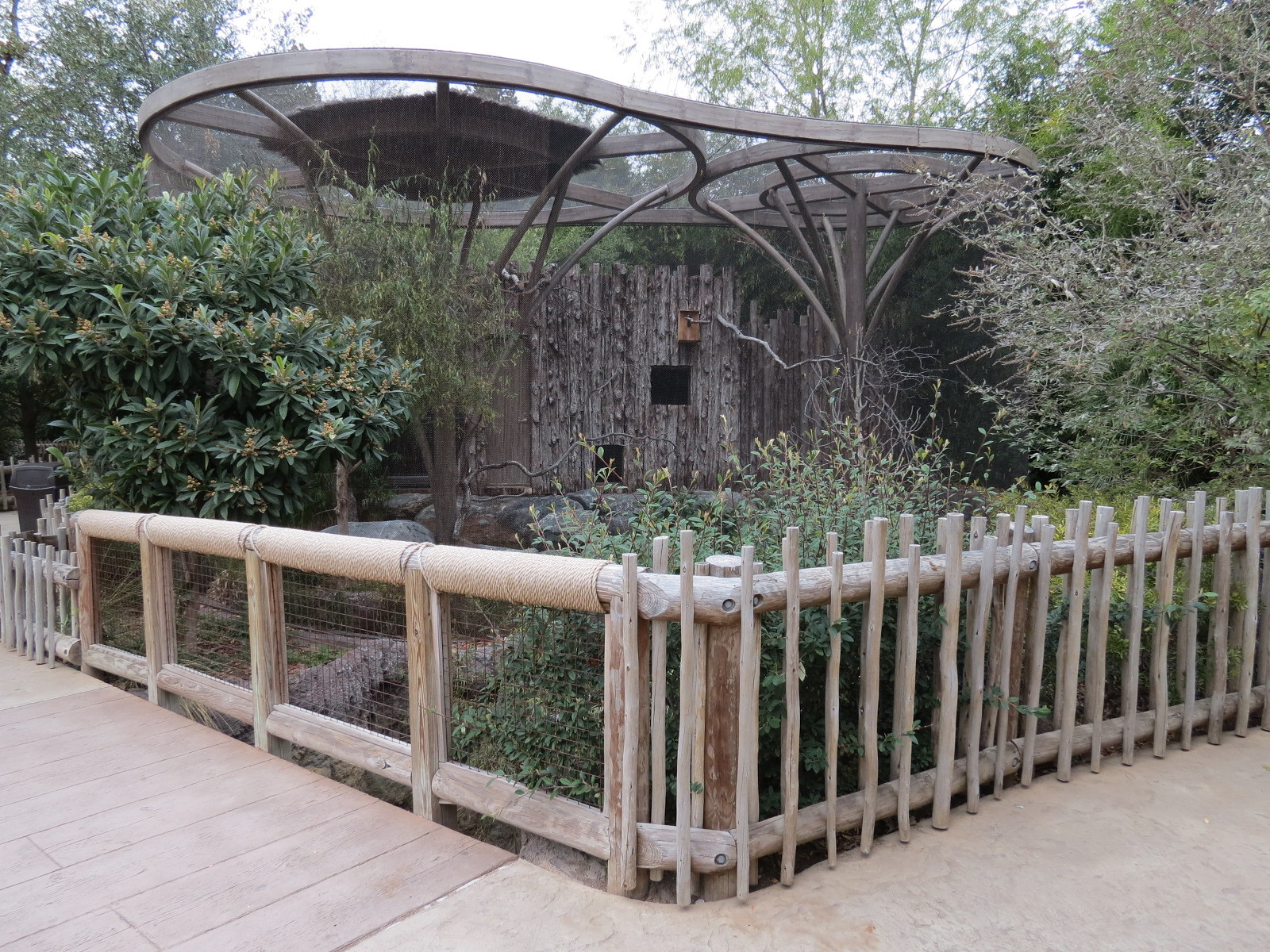 African Savanna - Aviary