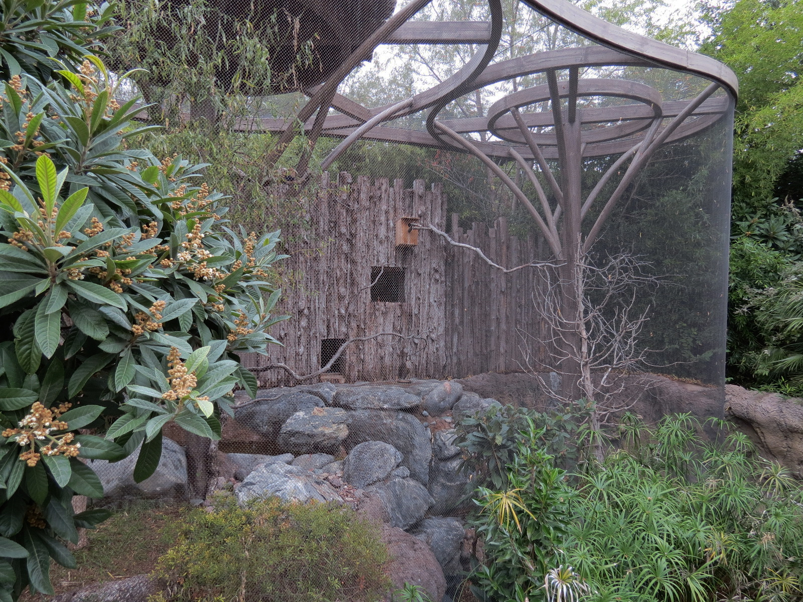 African Savanna - Aviary