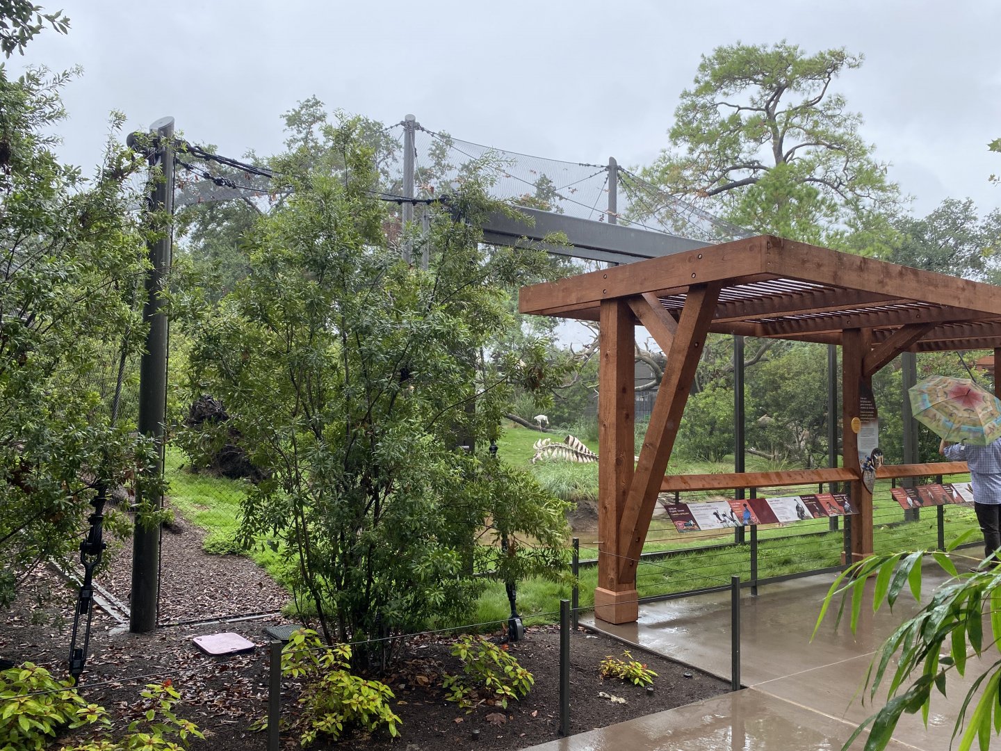 African Savanna Aviary