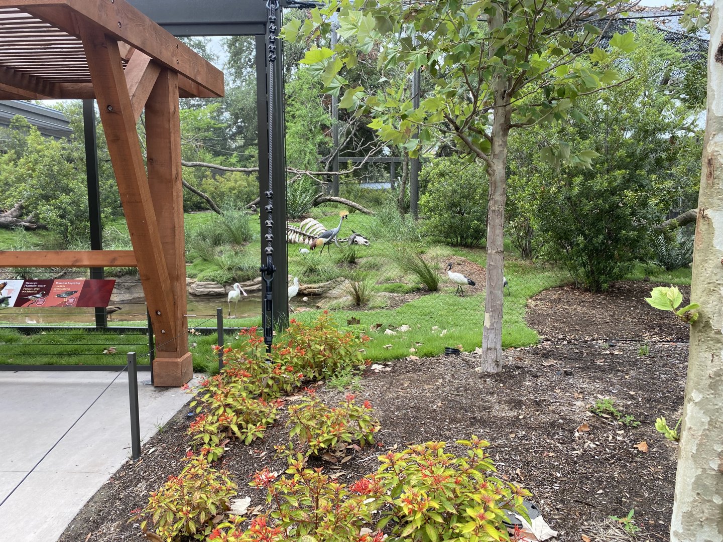 African Savanna Aviary