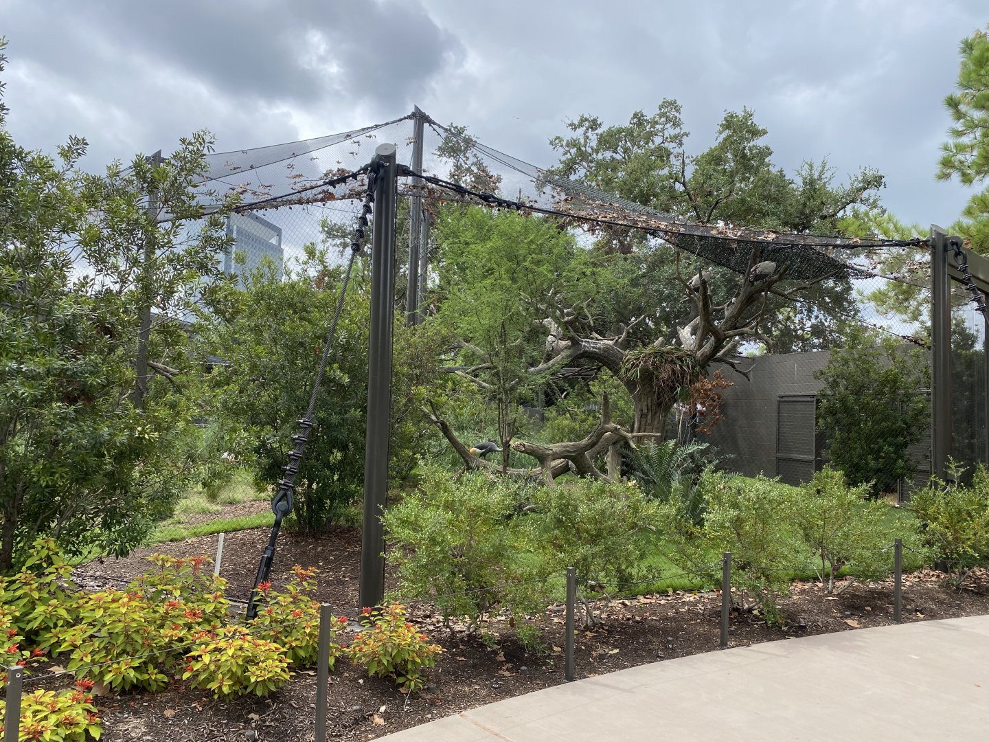 African Savanna Aviary