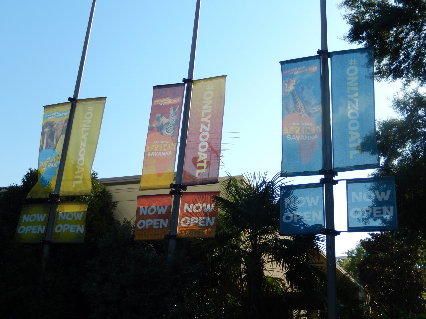 African Savanna Banners
