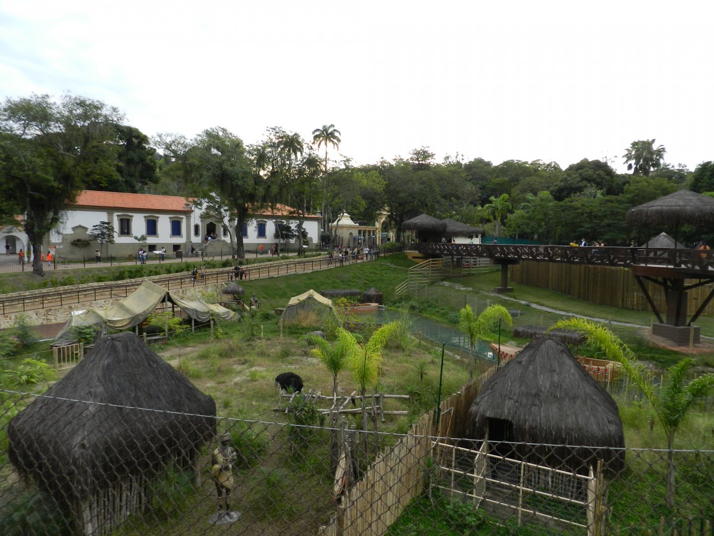 African savanna - BioParque do Rio