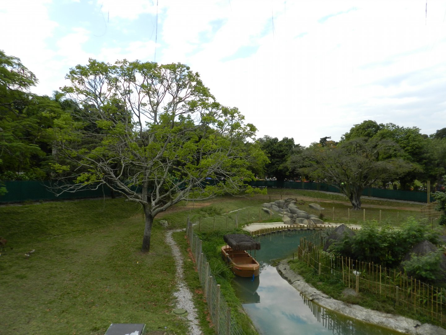 African savanna - BioParque do Rio