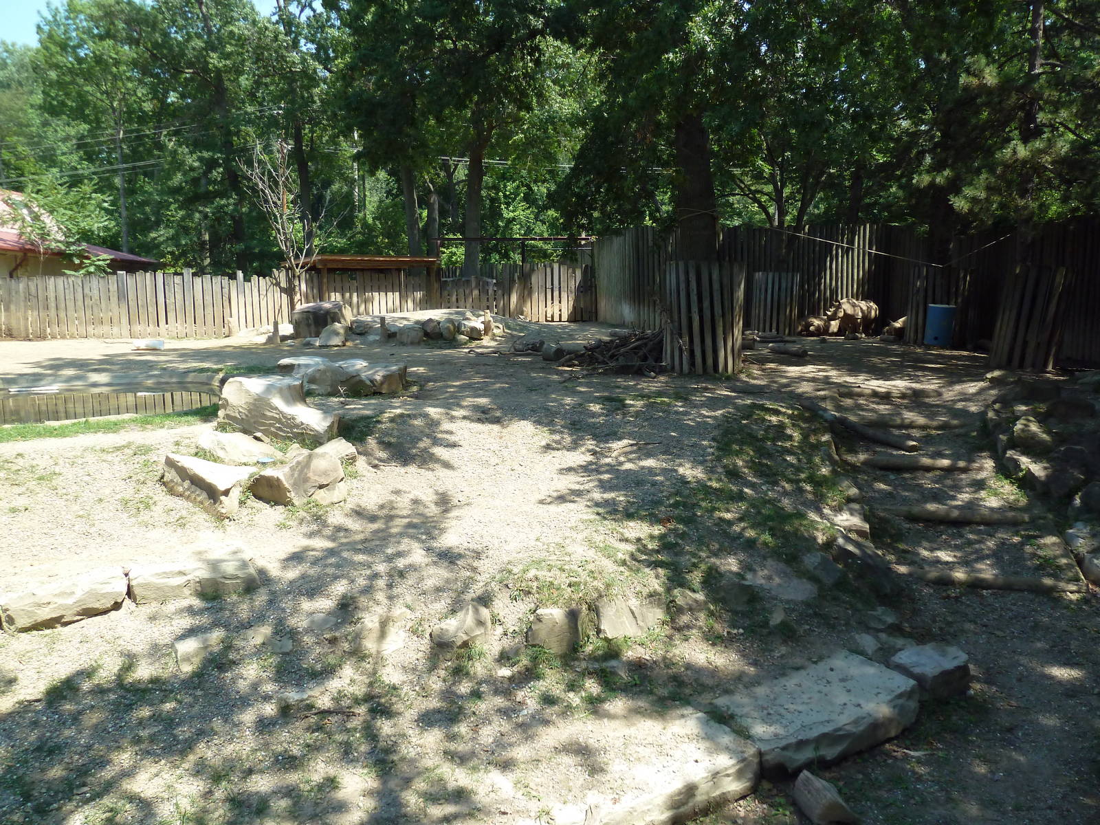 African Savanna - Black Rhino Exhibit