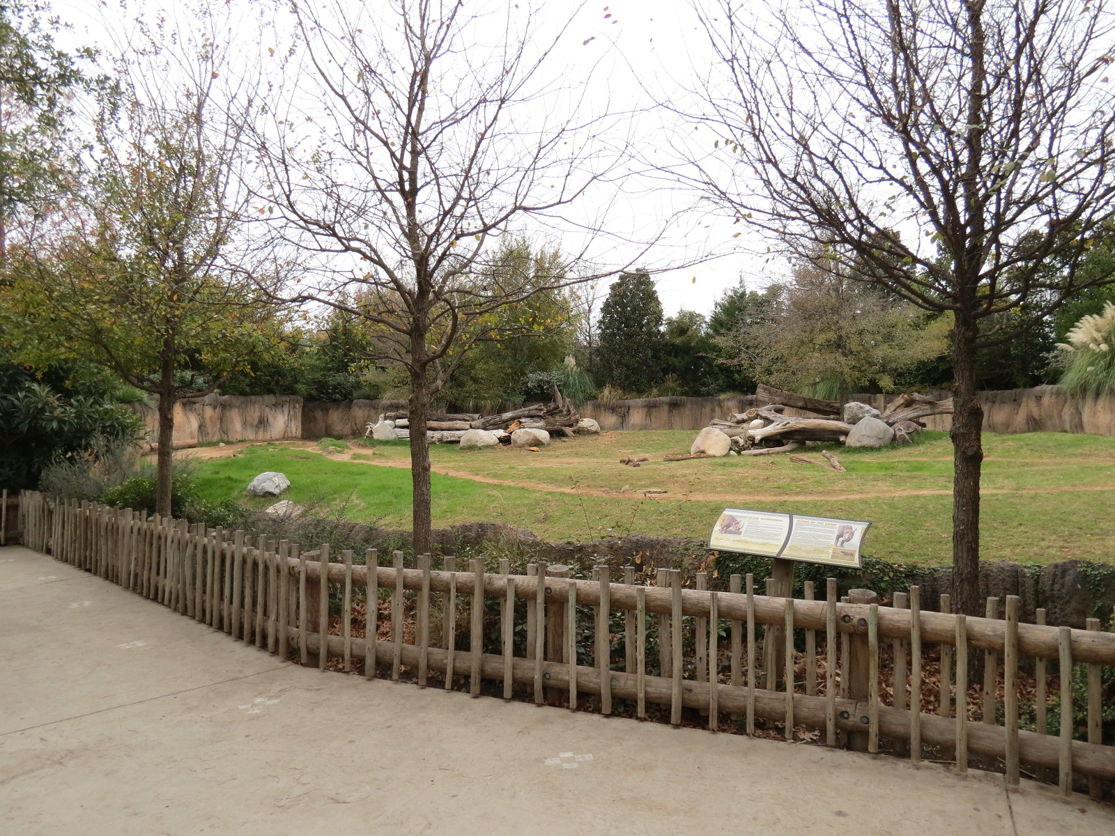 African Savanna - Black Rhinoceros Exhibit 1