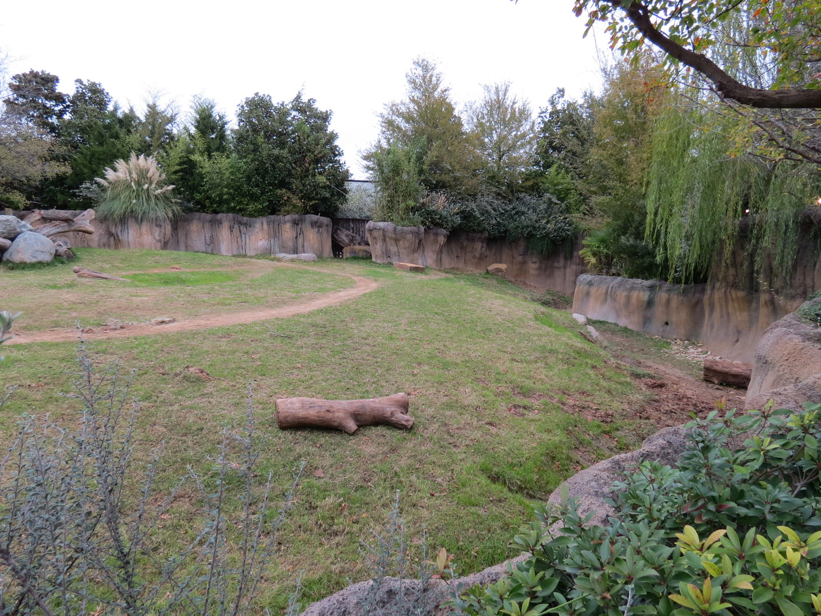 African Savanna - Black Rhinoceros Exhibit 1