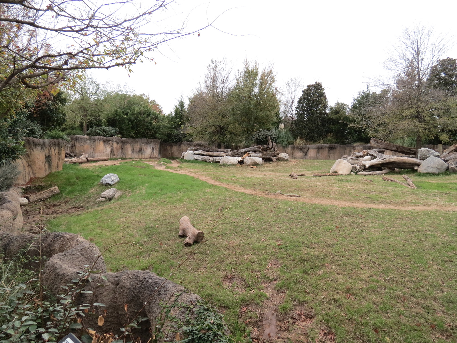 African Savanna - Black Rhinoceros Exhibit 1