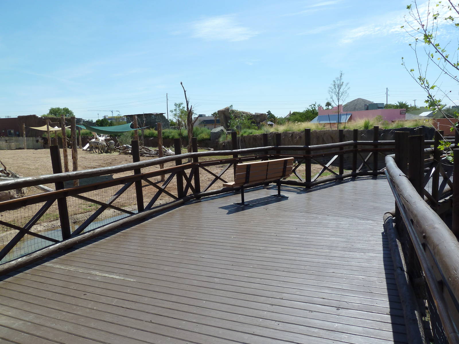 African Savanna Boardwalk - New Exhibit In 2010