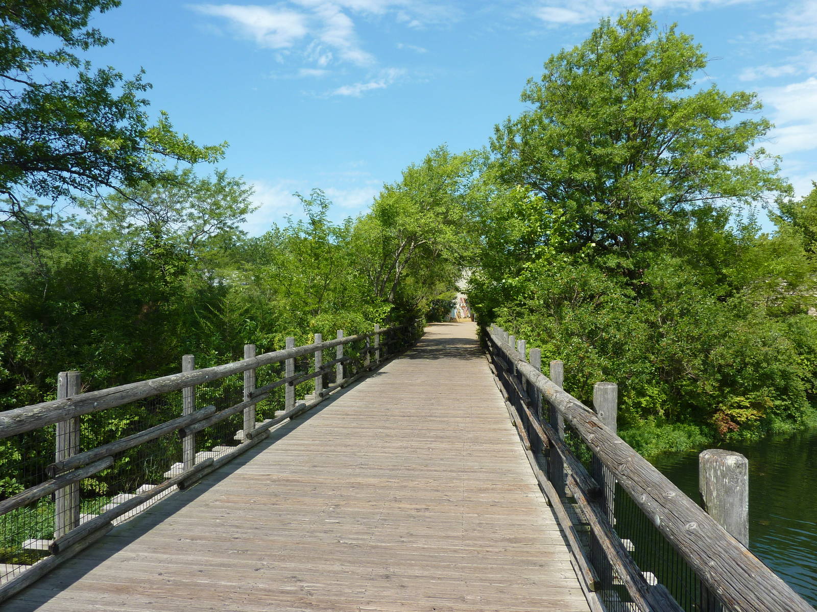 African Savanna - Boardwalk