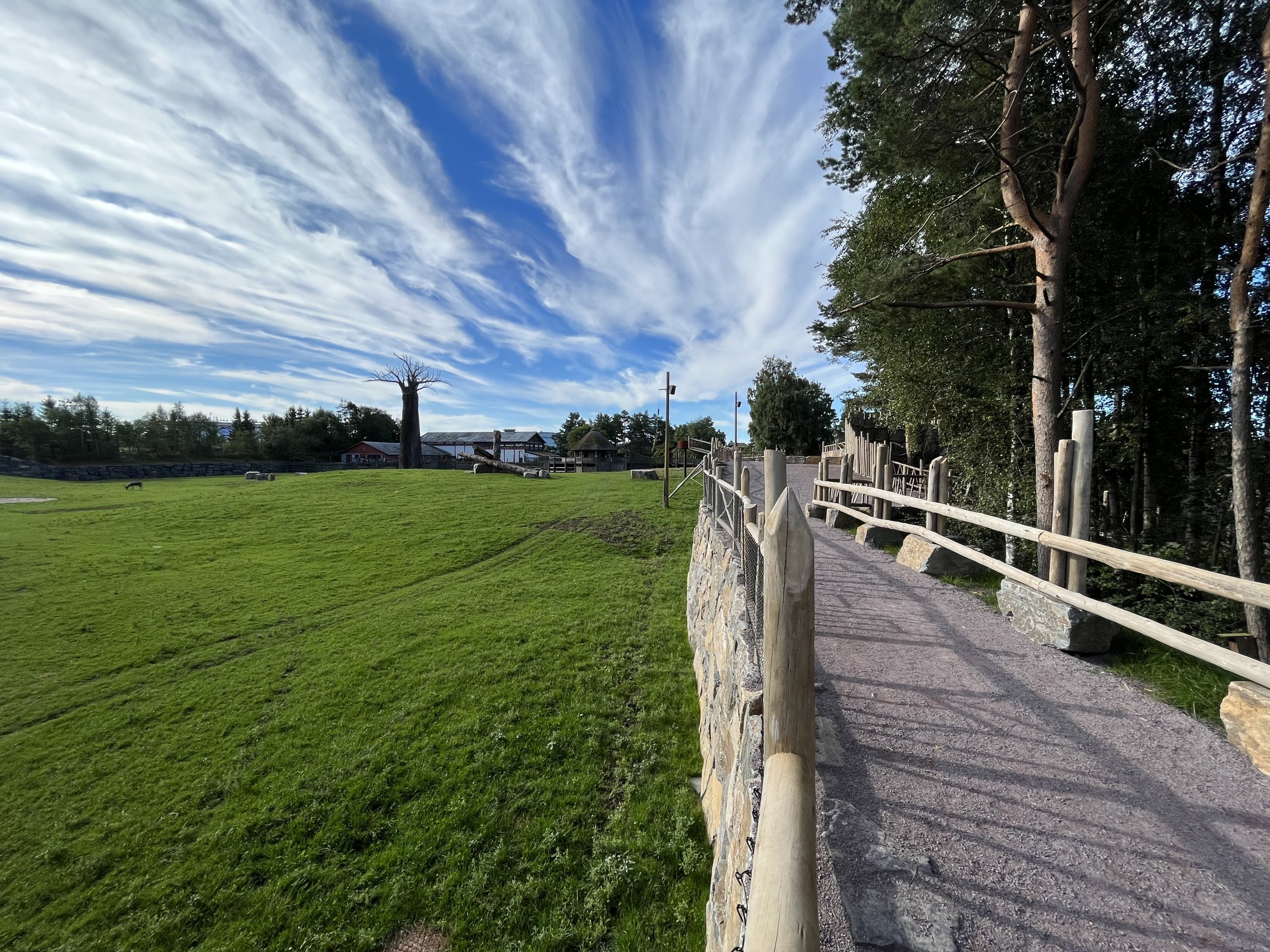 African Savanna - boardwalk