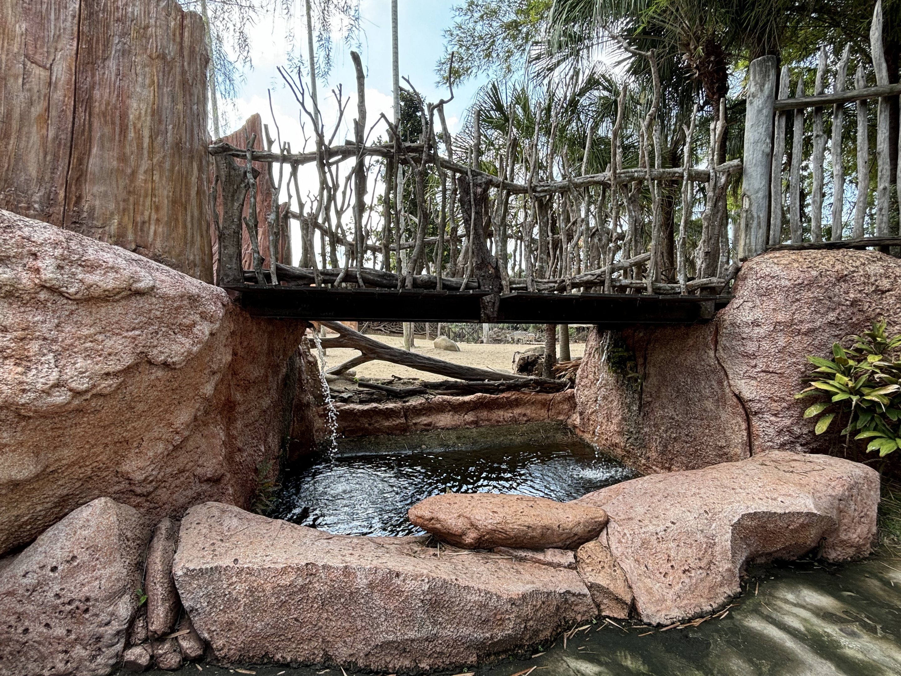 African Savanna Bridge + Pond