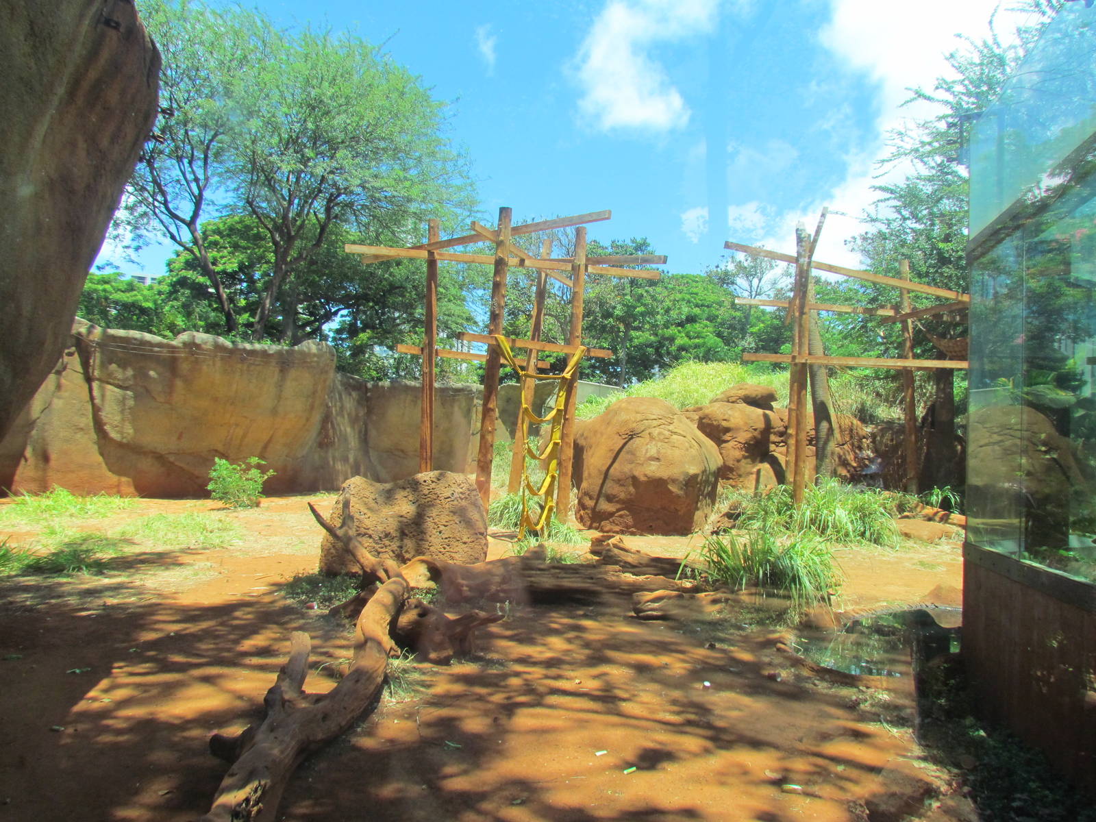 African Savanna - Chimpanzee Exhibit