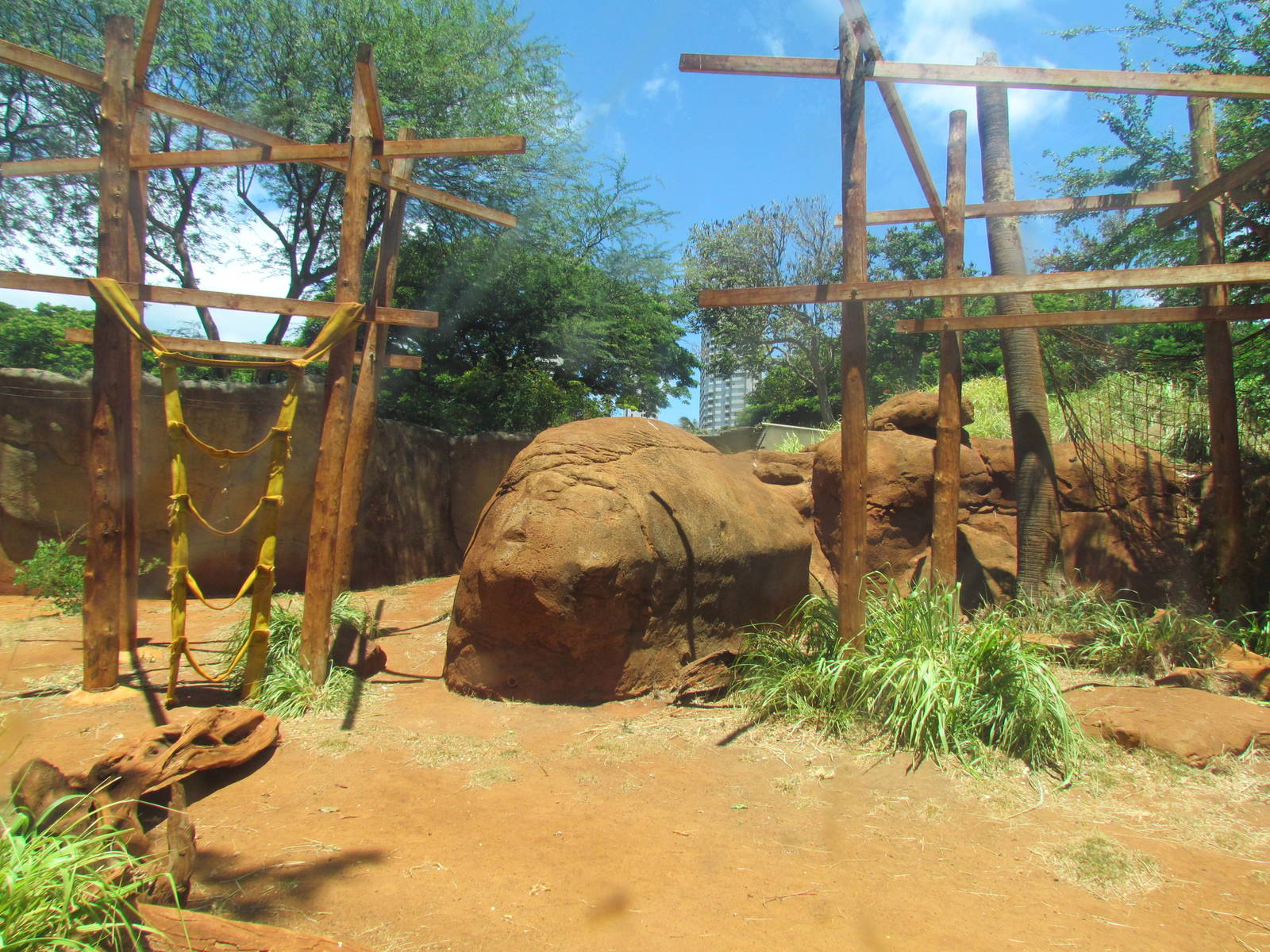 African Savanna - Chimpanzee Exhibit