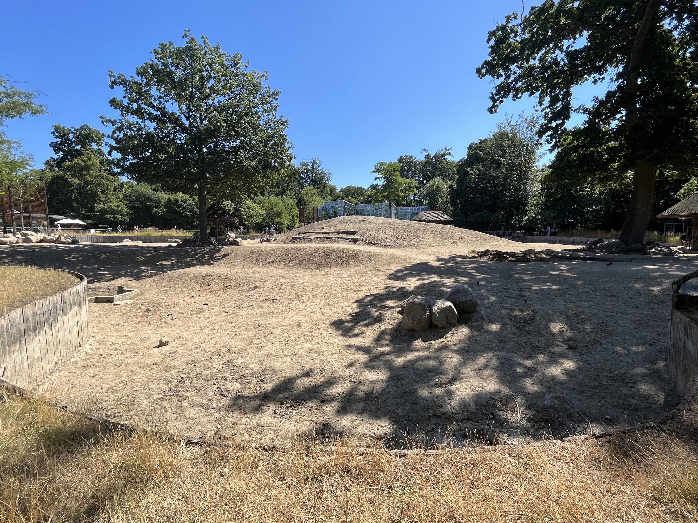 African Savanna - dust bowl