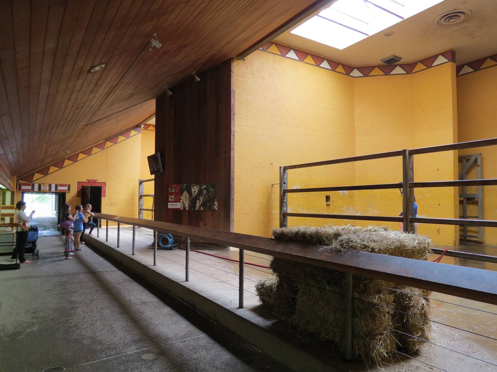 African Savanna - Elephant Care Center Interior