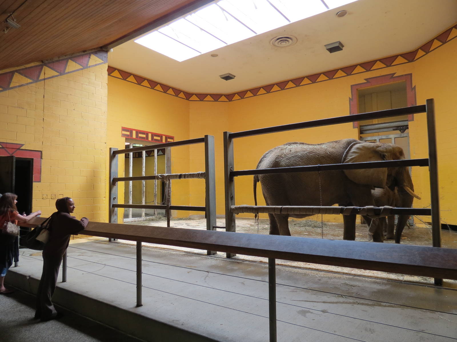 African Savanna - Elephant Care Center Interior