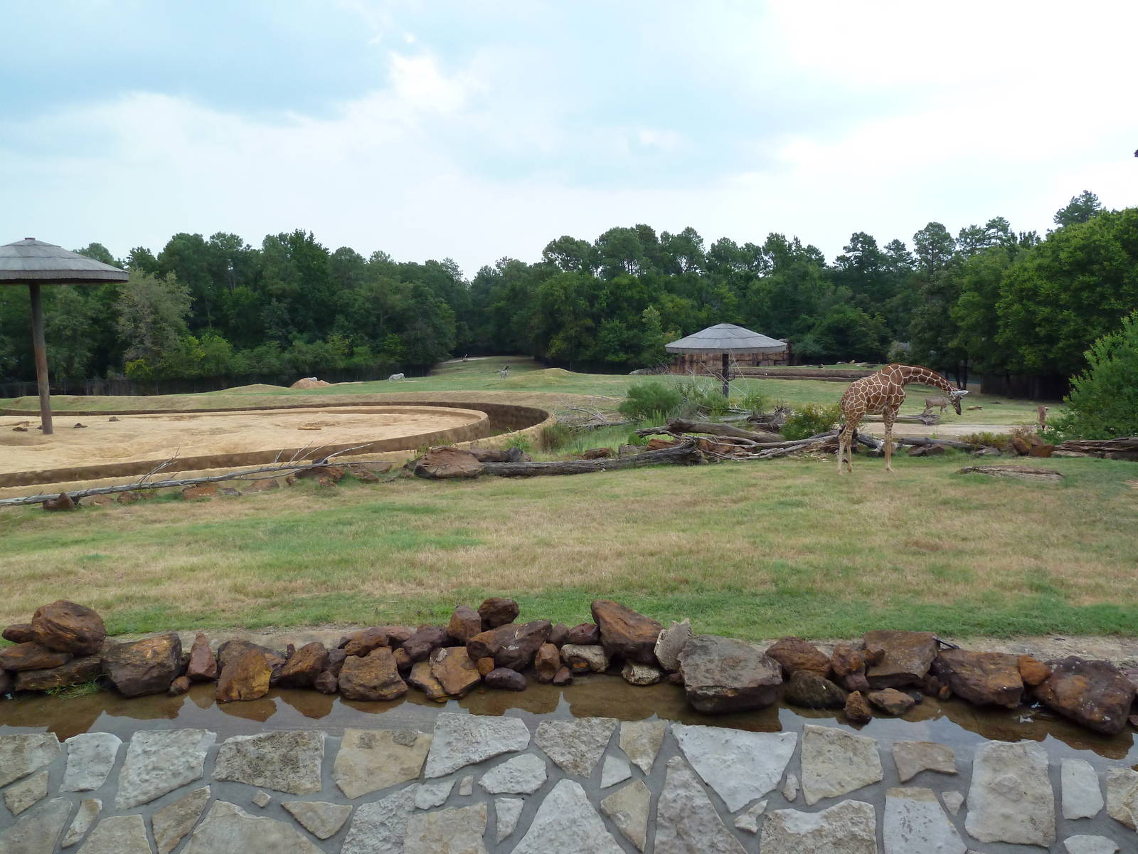 African Savanna + Elephant Exhibit