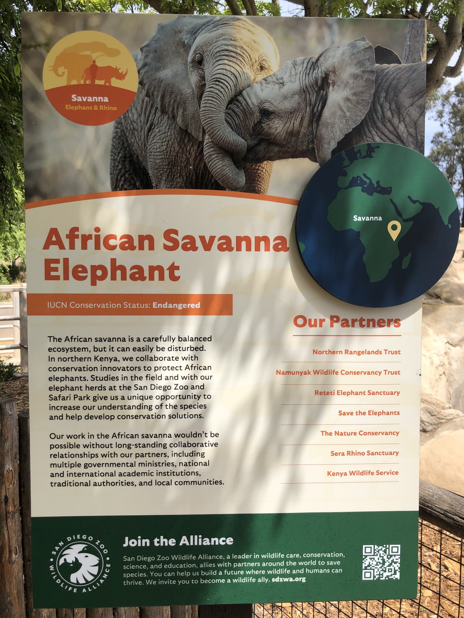 African Savanna Elephant signage