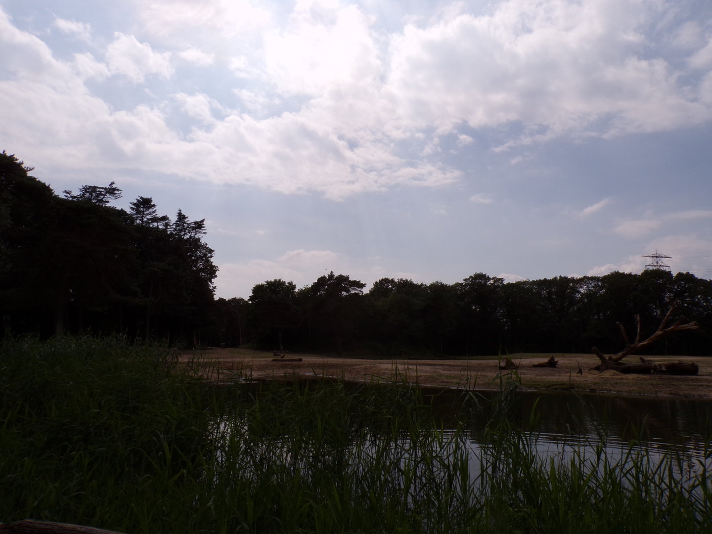 African savanna enclosure 6.7.23