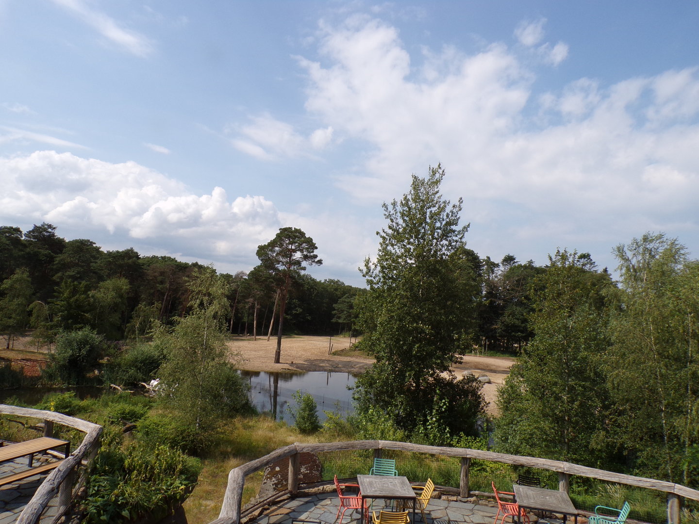 African savanna enclosure 6.7.23