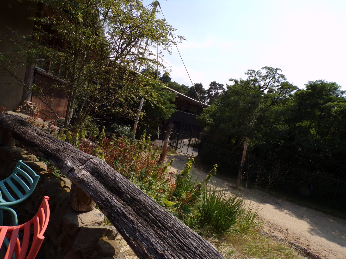 African savanna enclosure 6.7.23