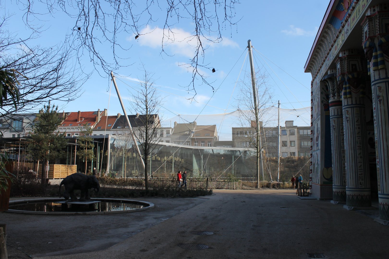 African Savanna-enclosure - Buffalo and Birds