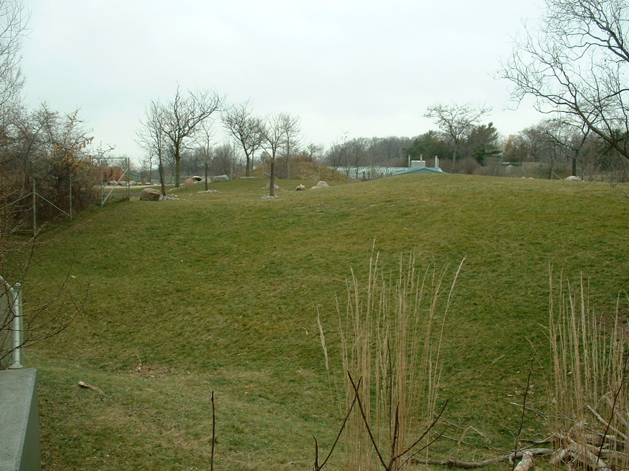 African Savanna Enclosures - Nov 2012