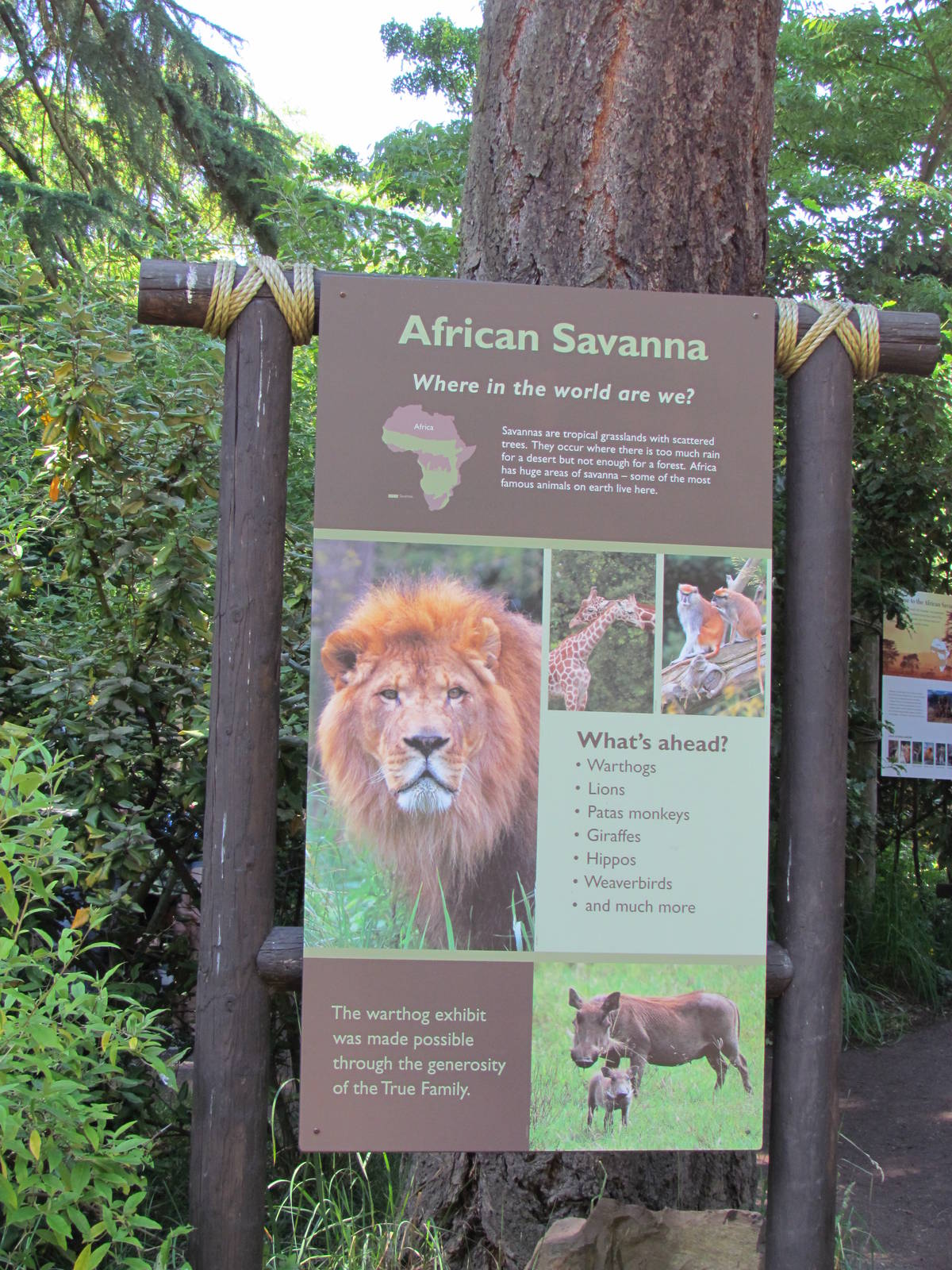 African Savanna - Entrance