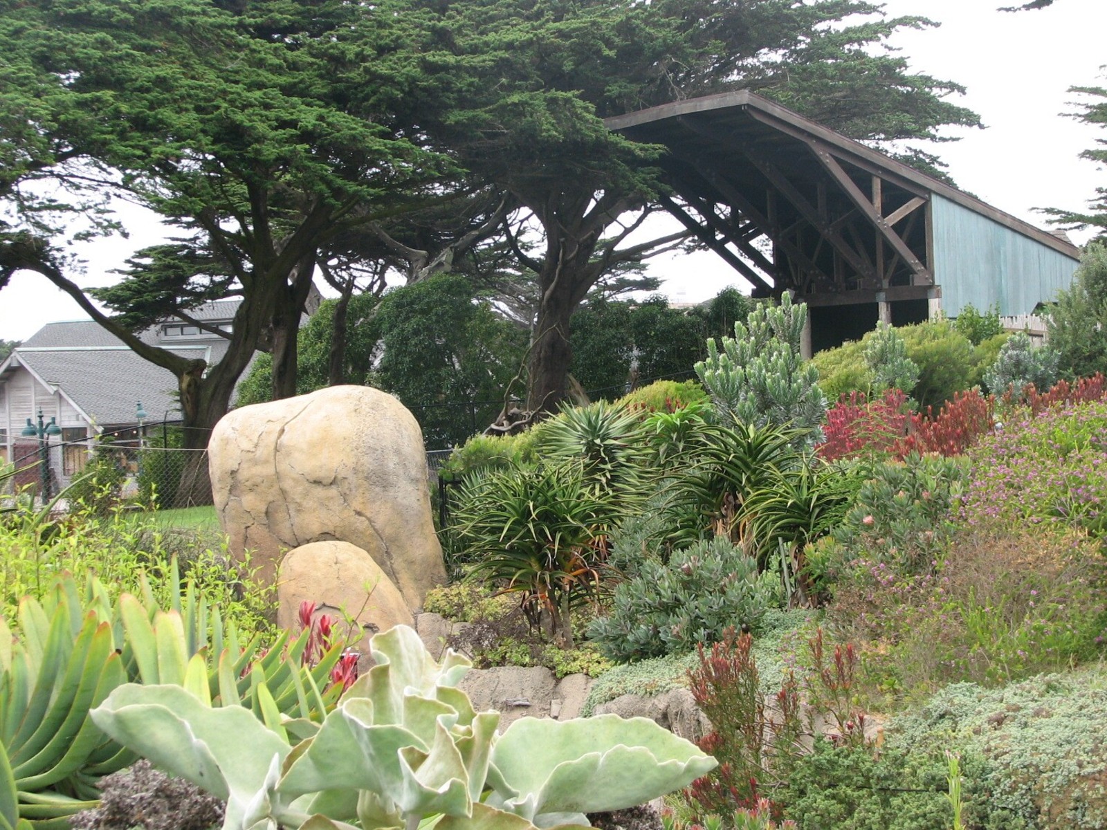 African Savanna - Entry Landscape