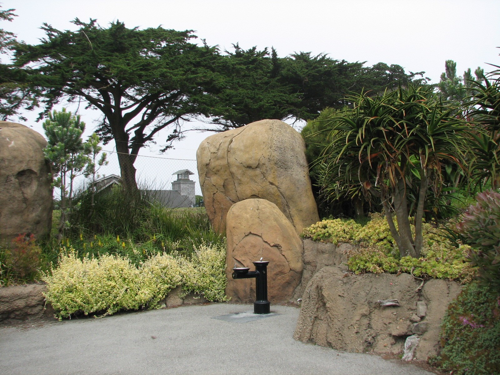 African Savanna - Entry Landscape
