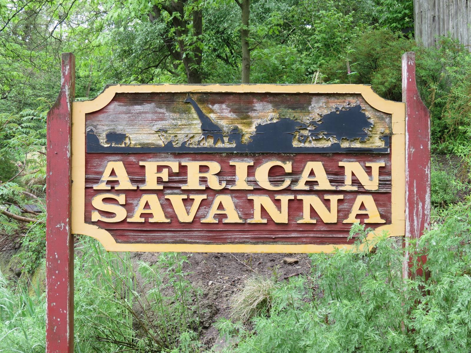 African Savanna - Entry Sign