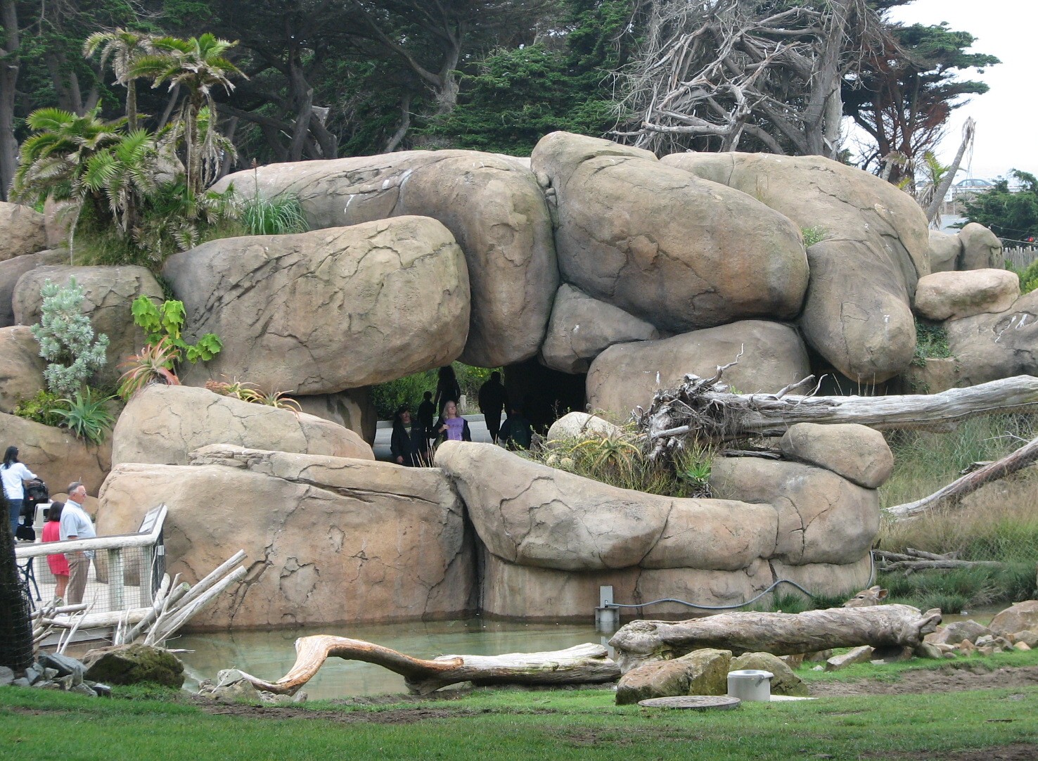 African Savanna - Entry Tunnels