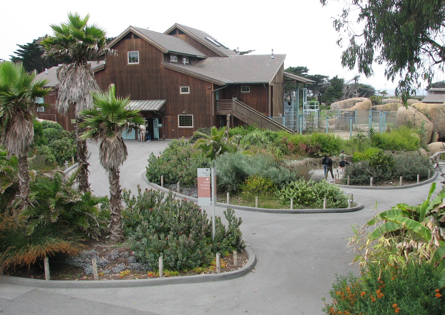 African Savanna Entry