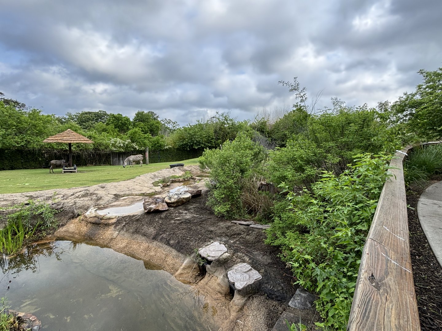 African Savanna Exhibit Left Side