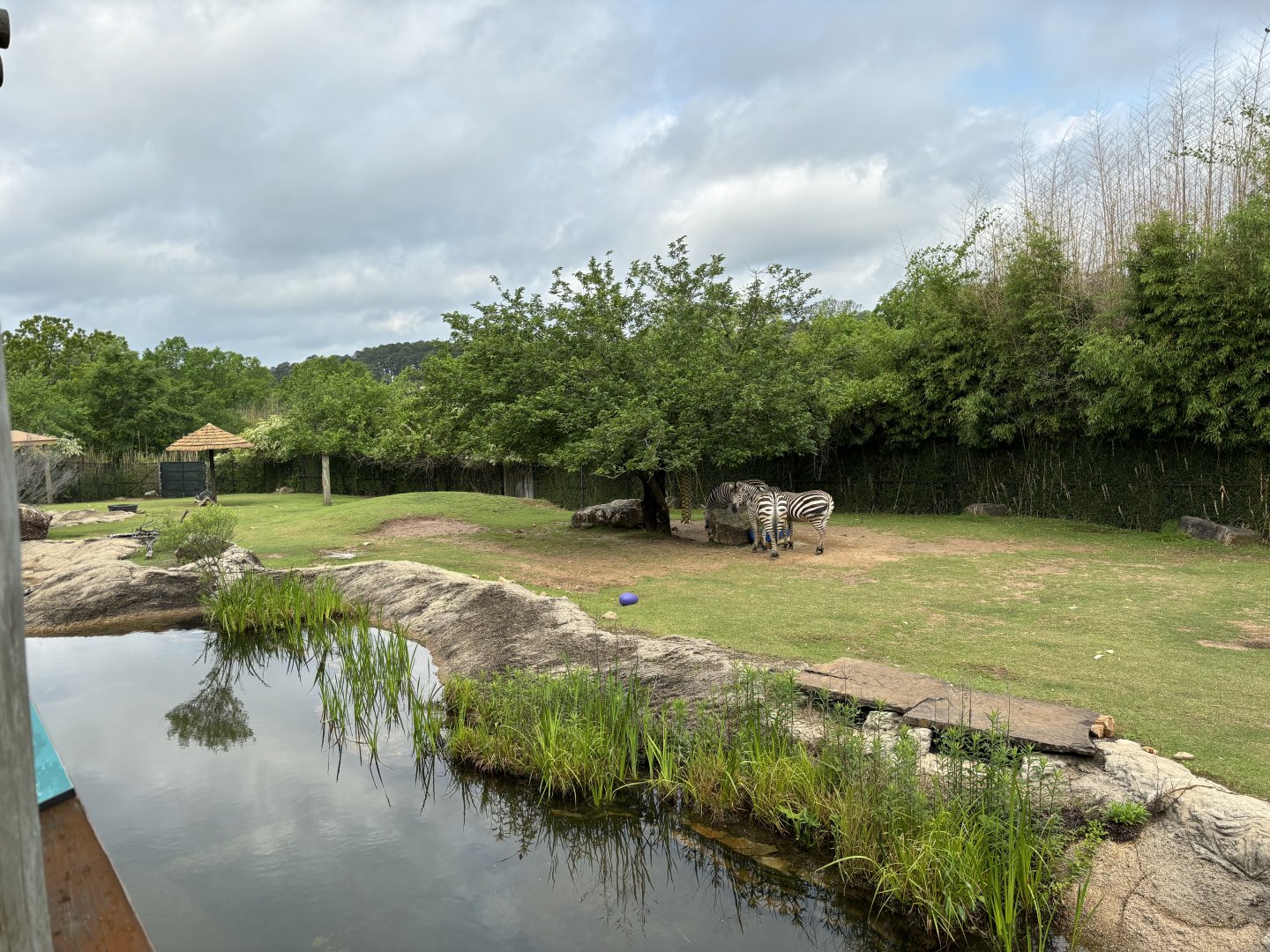 African Savanna Exhibit Middle