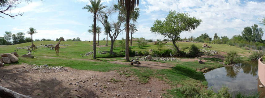 African Savanna exhibit panorama at the Phoenix Zoo