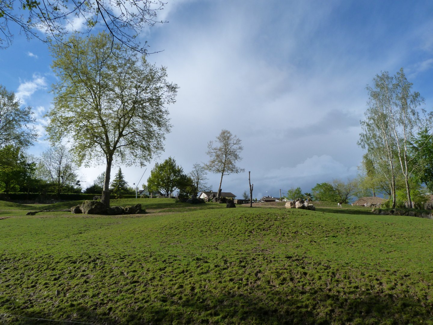 African savanna exhibit -ZooParc de Beauval (2025)