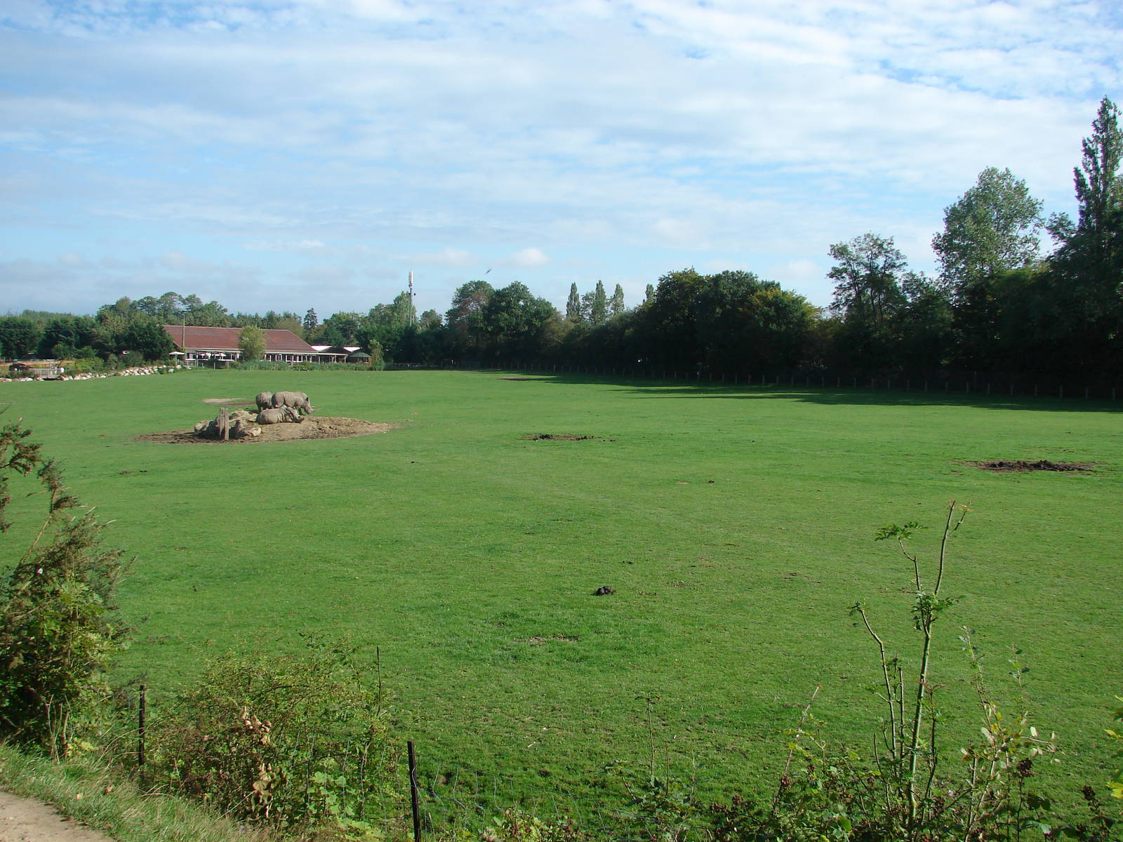 African Savanna exhibit