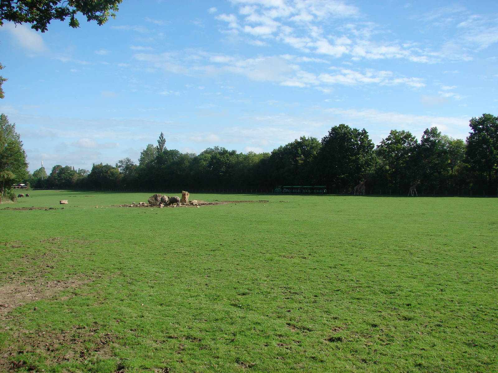 African Savanna exhibit