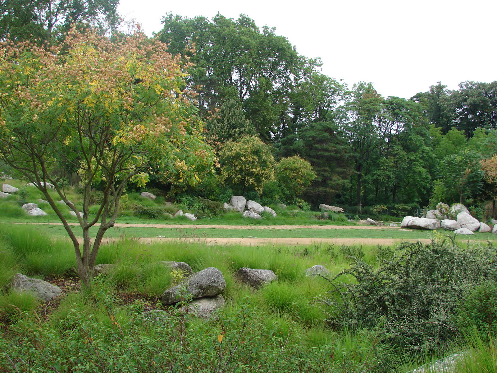 African savanna exhibit