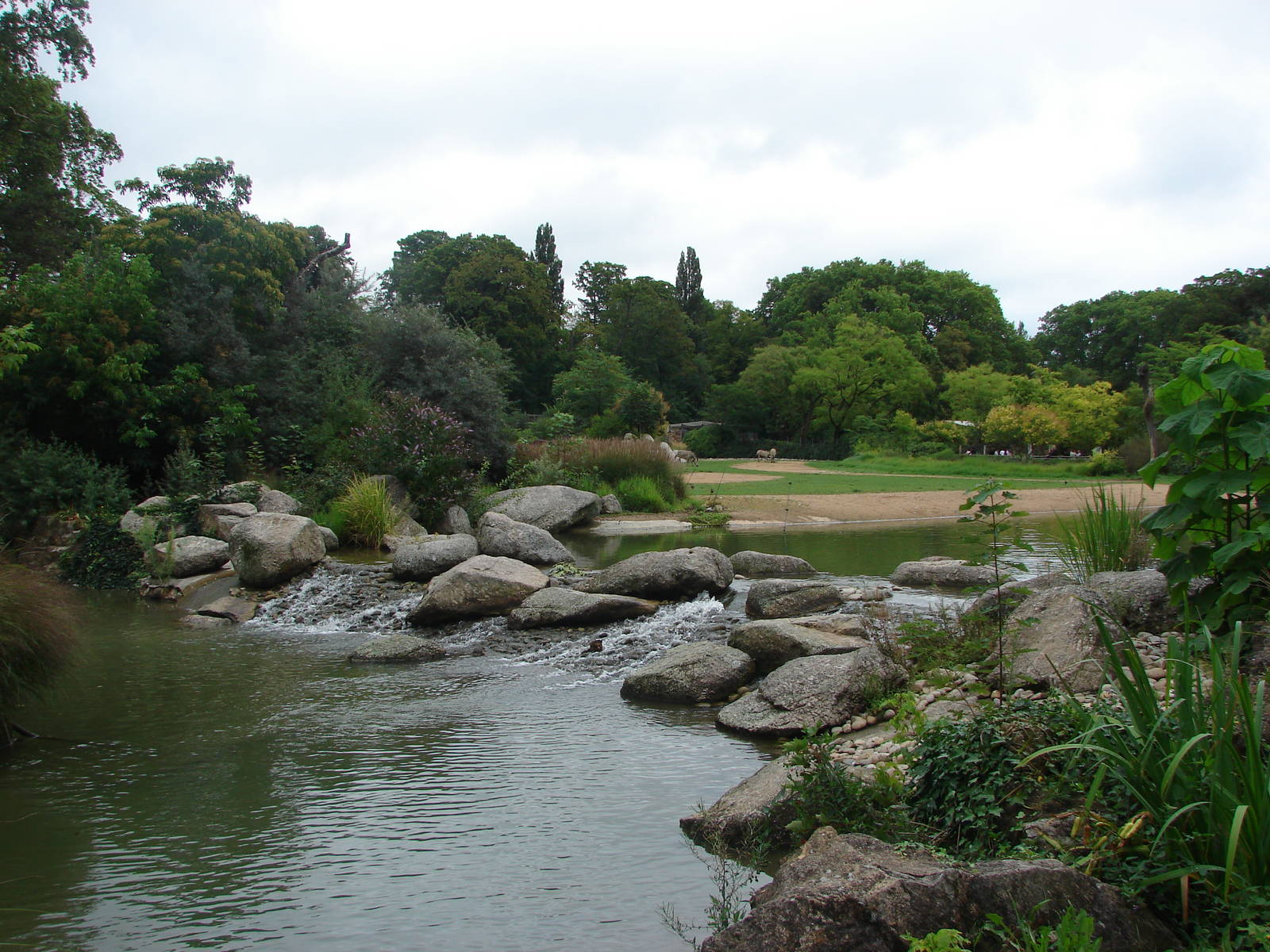 African savanna exhibit