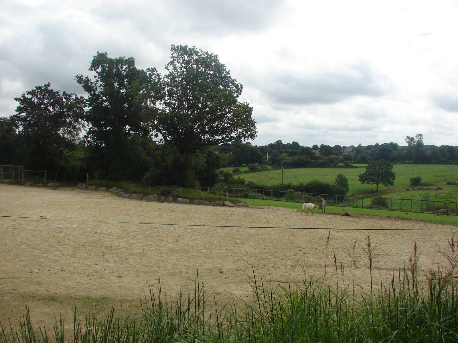 African savanna exhibit