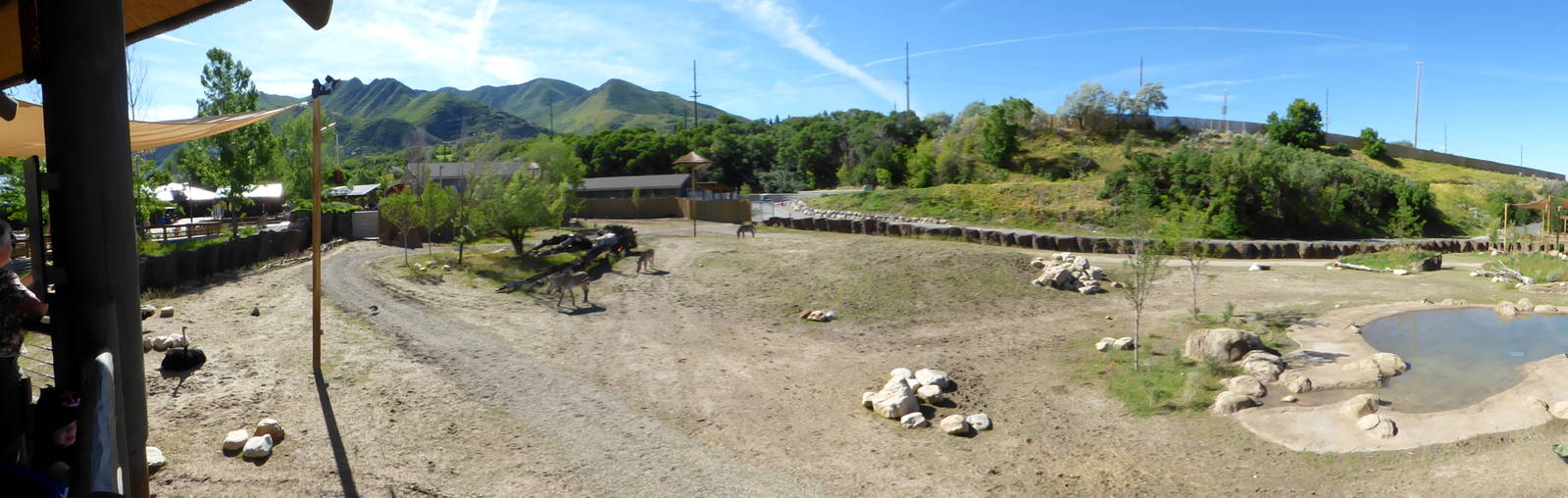 African Savanna Exhibit