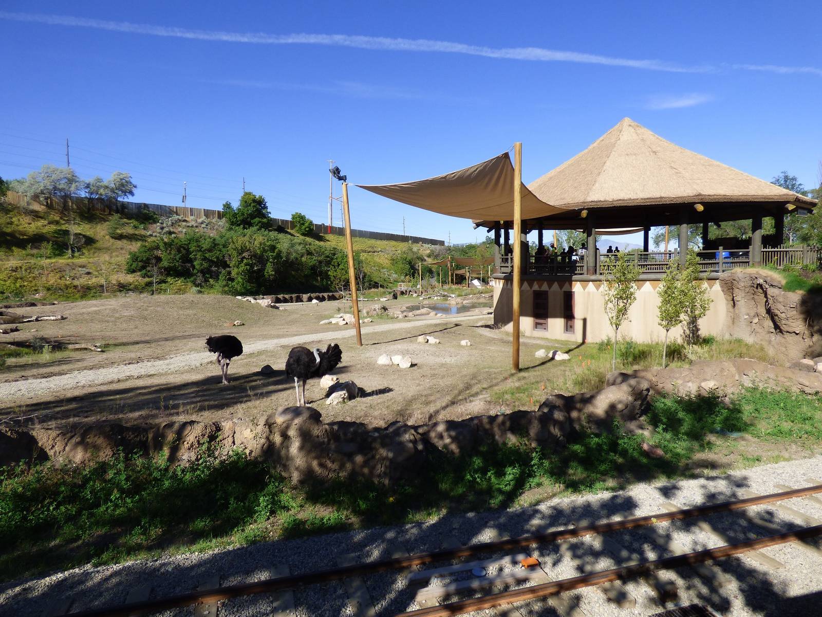 African Savanna Exhibit